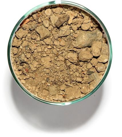 Soil in a cup from Coyote Hills, Block 799 in Chalk Hill