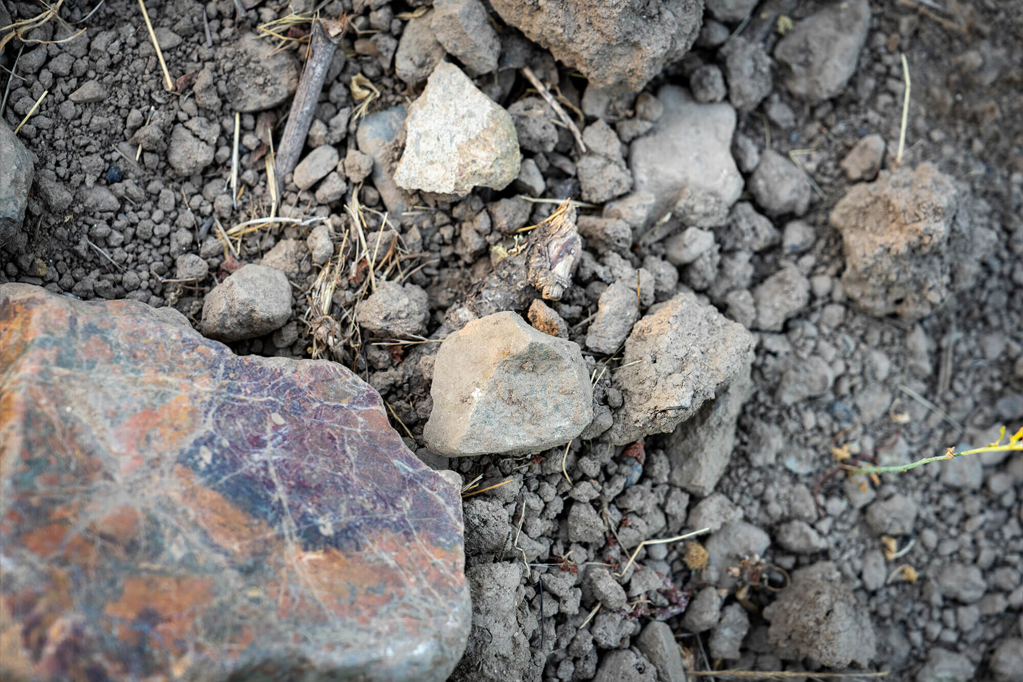 Closeup of vineyard soil with rocks