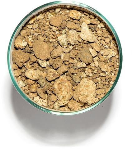 Soil in a cup from Coyote Hills, Block 802 in Chalk Hill