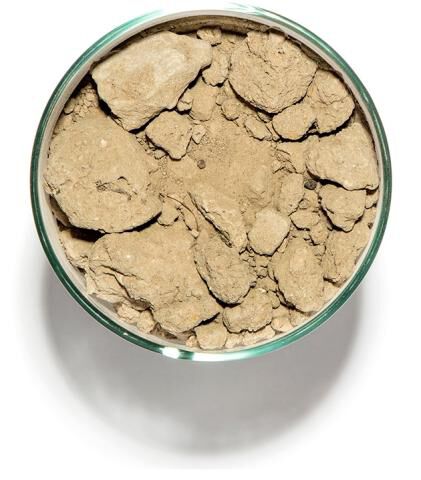 Soil in a cup from Vérité Vale, Block 601B in Chalk Hill