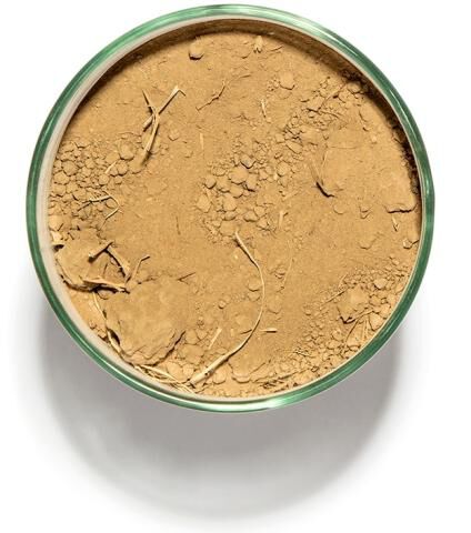 Soil in a cup from Vérité Vale, Block 605A in Chalk Hill