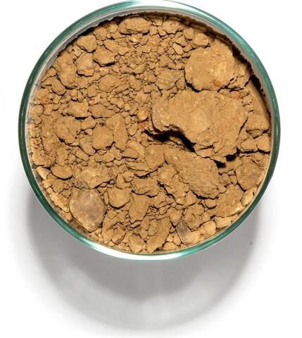 Soil in a cup from Cougar Ridge, Block 252 in Alexander Valley