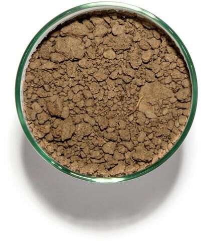 Soil in a cup from Alexander Mountain Estate, Block 33A in Alexander Valley