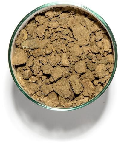 Soil in a cup from Alexander Mountain Estate, Block 50 in Alexander Valley