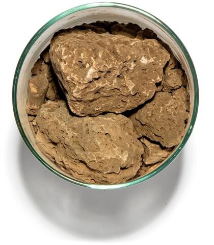 Soil in a cup from Jackson Park, Block 6 in Bennett Valley