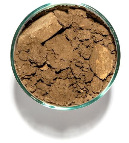 Soil in a cup from Jackson Park, Block 21 in Bennett Valley