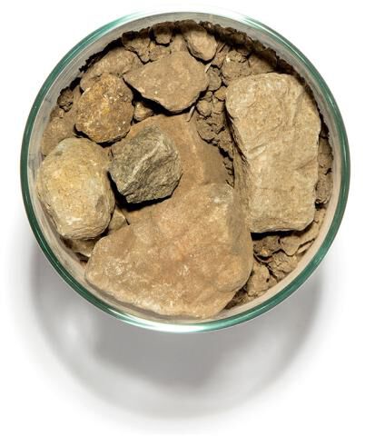 Soil in a cup from Jackson Park, Block 1 in Bennett Valley