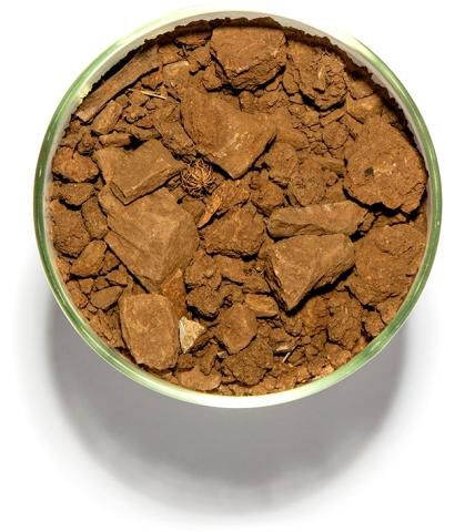 Soil in a cup from Alexander Mountain Estate, Block 29A in Alexander Valley