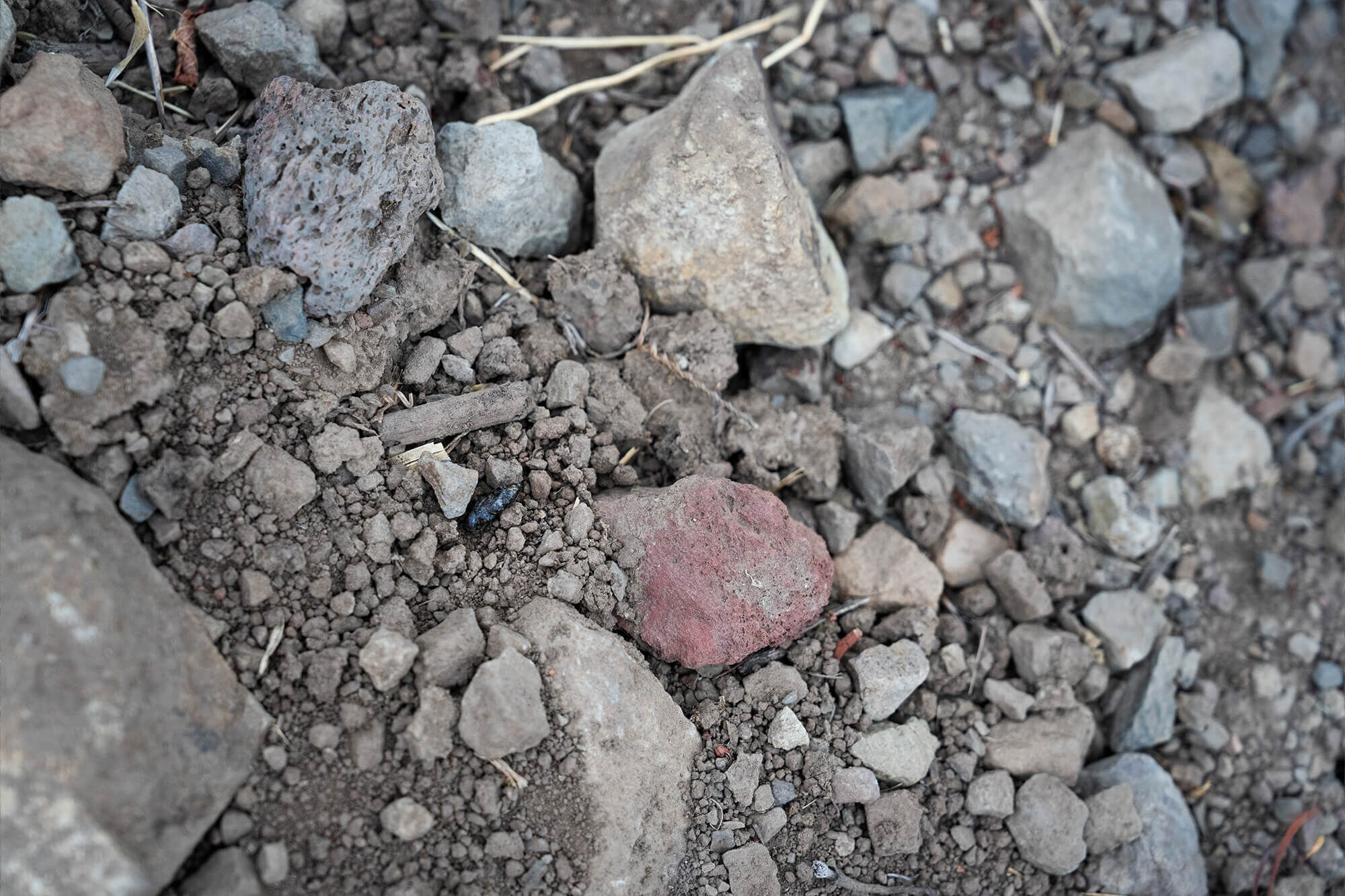 Closeup of vineyard soil with rocks